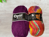 Karosa's Harmonicavest Challenge: Jouw Unieke Vest